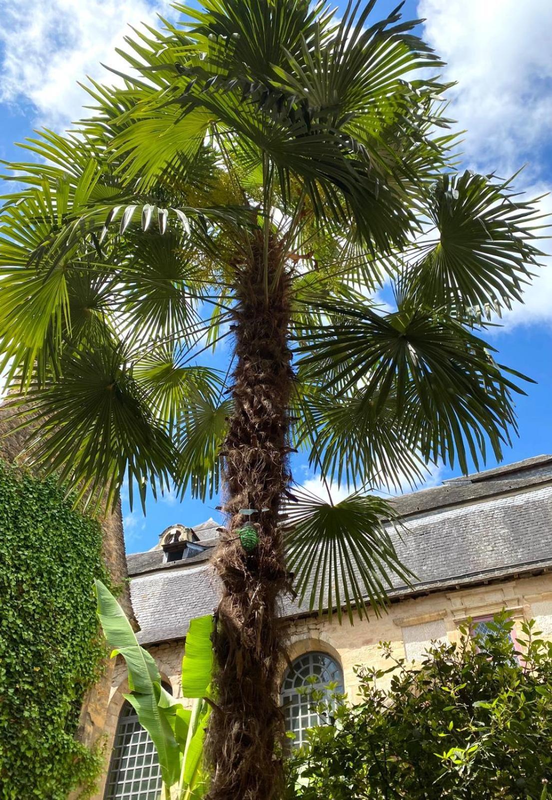 La Villa Des Consuls - Gite De Tourisme De Charme Sarlat-la-Canéda Exterior foto